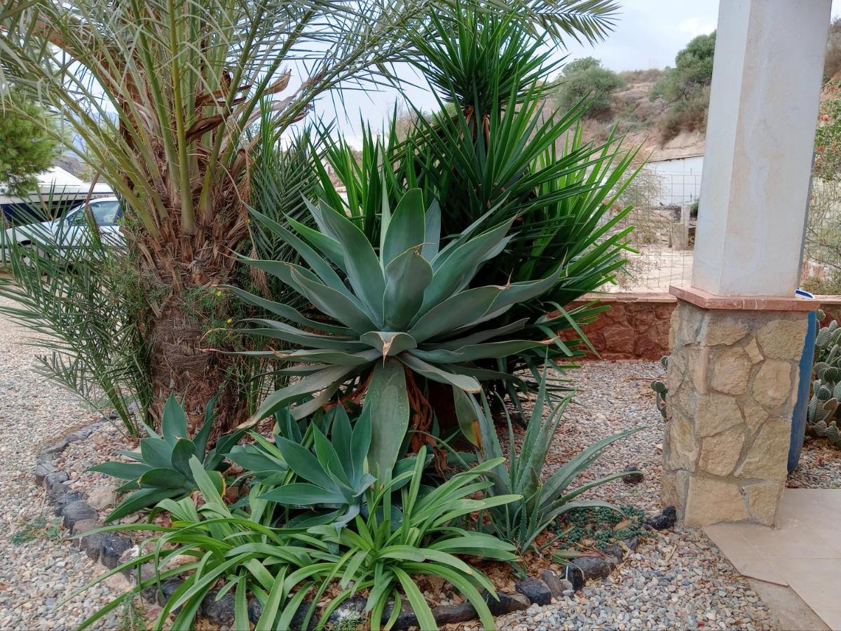 Cortijo Rural Molino El Tarahal Con Piscina Y Zonas Compartidas Ngoại thất bức ảnh