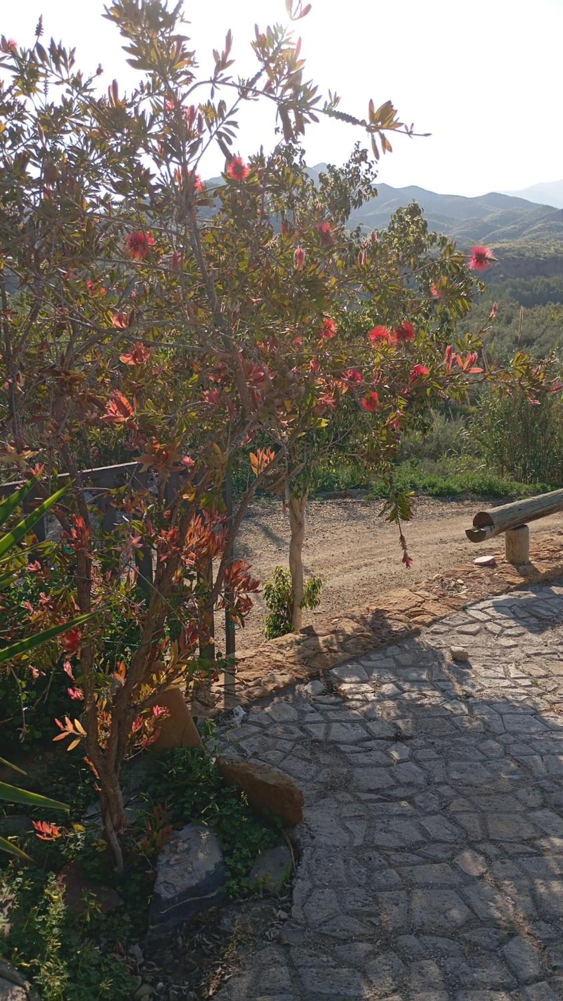 Cortijo Rural Molino El Tarahal Con Piscina Y Zonas Compartidas Ngoại thất bức ảnh