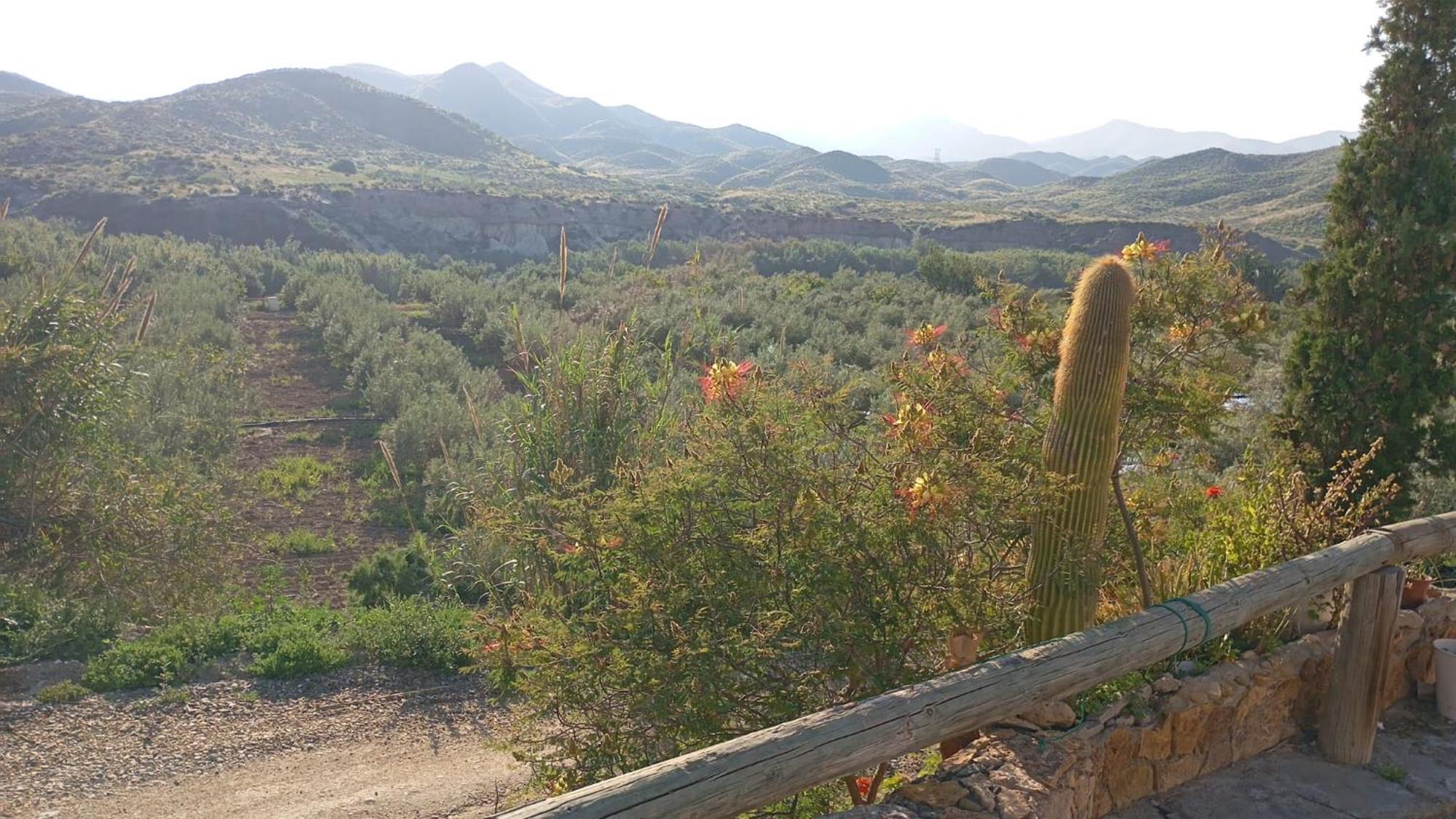 Cortijo Rural Molino El Tarahal Con Piscina Y Zonas Compartidas Ngoại thất bức ảnh